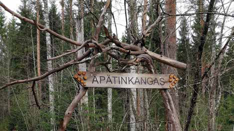 Metsässä oleva puinen kyltti, jossa lukee Äpätinkangas.