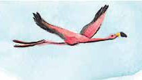 Piirroskuva lentävästä flamingosta