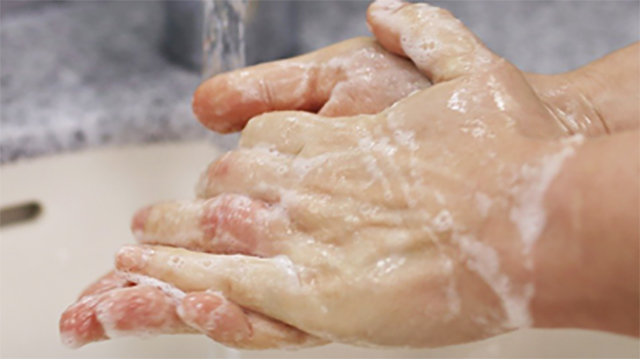 Saippuaiset kädet hanan alla.